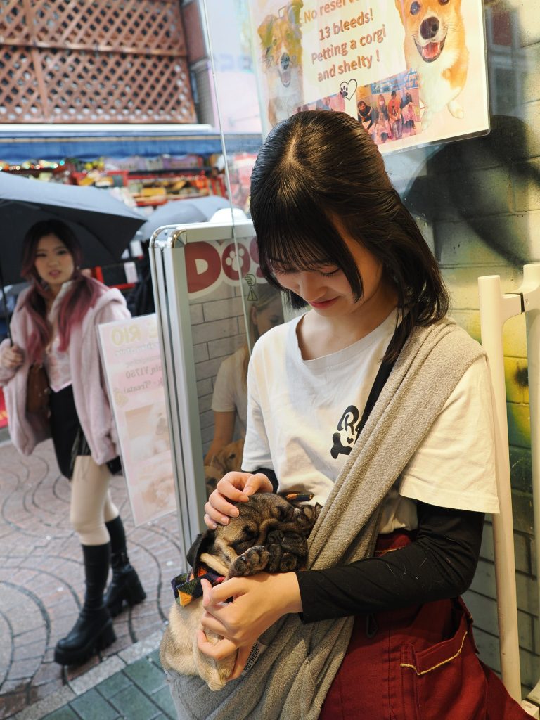 Pracownica Dog Cafe Rio trzymająca śpiącego mopsa owiniętego w ręcznik, Takeshita-dori Harajuku