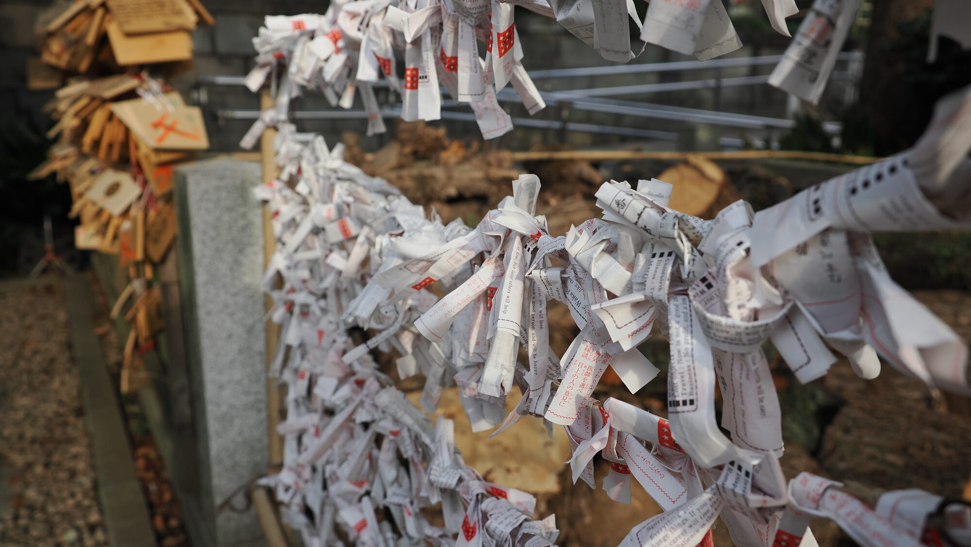 Zbliżenie na zawiązane omikuji na bambusowej ramie przy świątyni