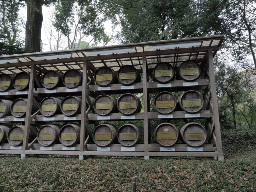 Rzedy beczek burgunda ofiarowanych Meiji Jingu - Domaine Pierre Marey i inne winiarnie