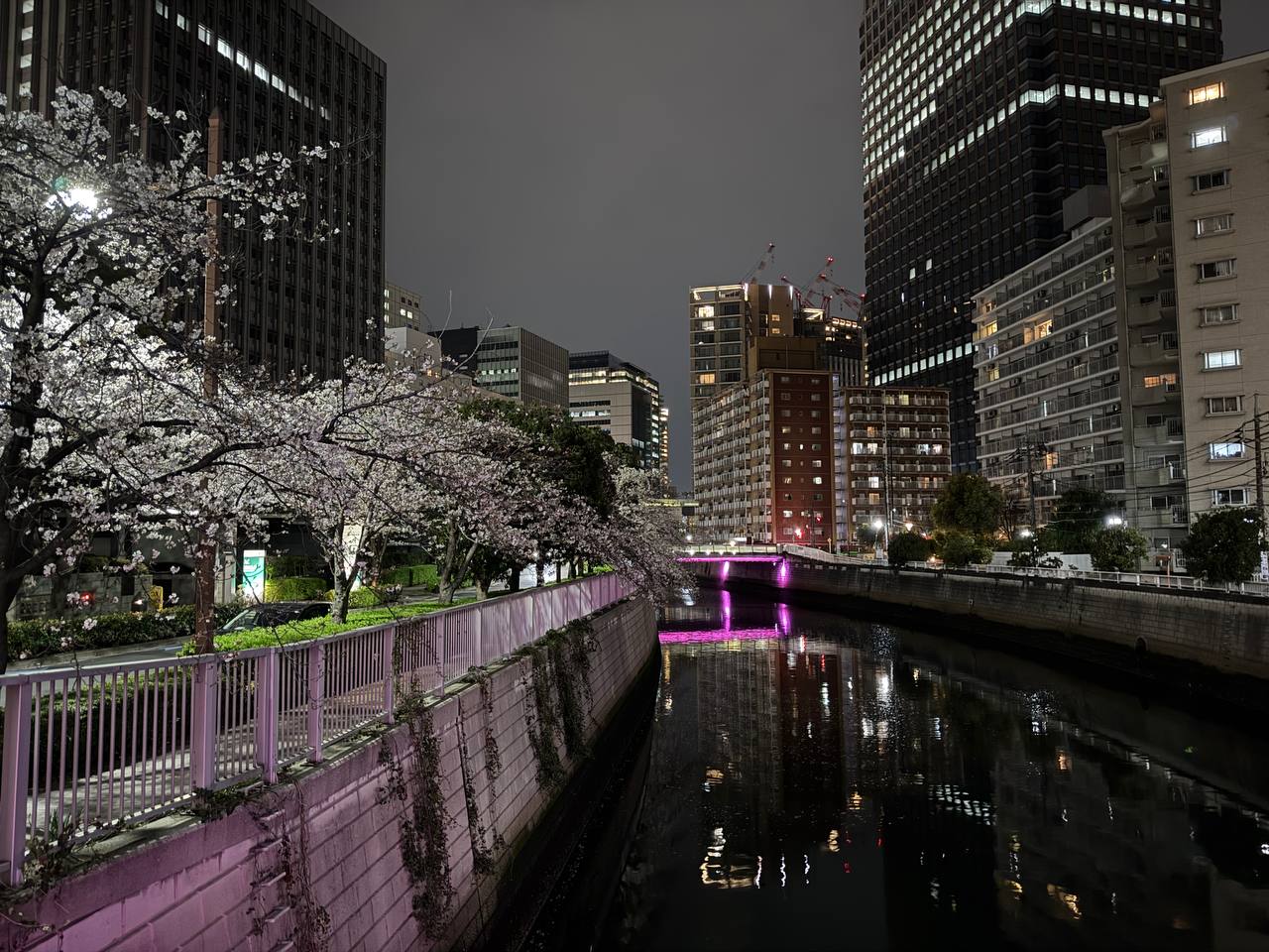 Rzeka Meguro nocą - różowe oświetlenie mostu, wiśnie nad wodą, odbicia w rzece, wieżowce Tokio