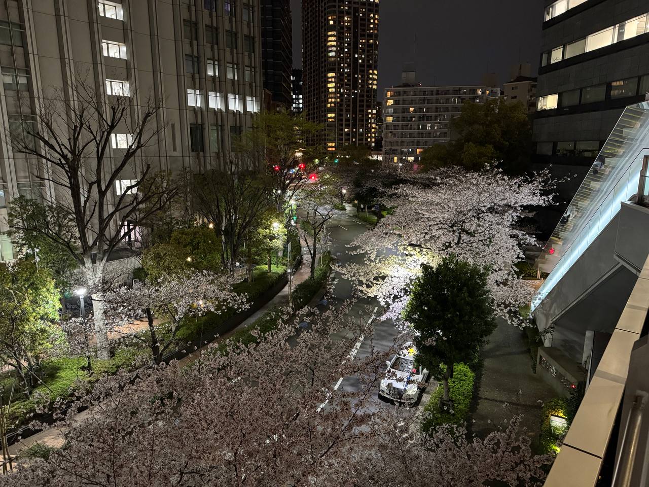 Nocna sakura przy stacji Shinagawa z góry - ulica oświetlona wiśniami, wieżowce Tokio w tle