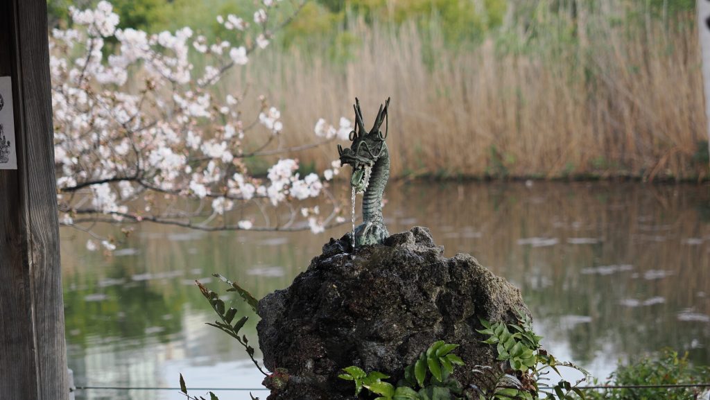 Smocza głowa wylewka temizuya przy Bentendo - brązowy smok pluje wodą na tle stawu i sakury
