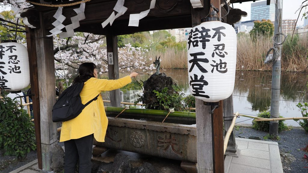 Zuzia przy temizuya - studni do rytualnego mycia rąk przy Bentendo, w tle staw Shinobazu i sakura