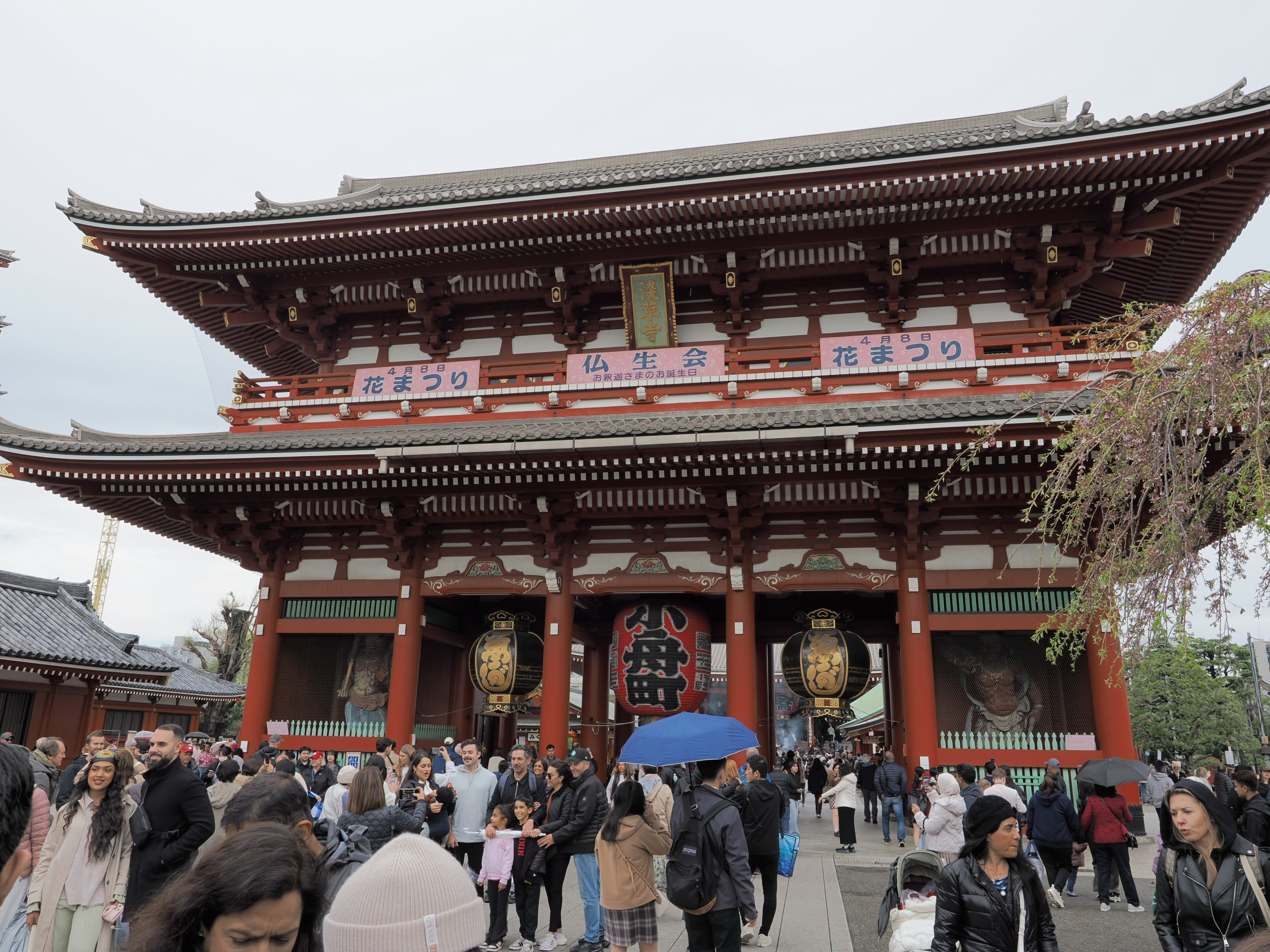 Brama Hozomon świątyni Senso-ji od zewnątrz z bliska: trzy różowe bannery festiwalu Hana Matsuri, trzy latarnie, wielki tłum