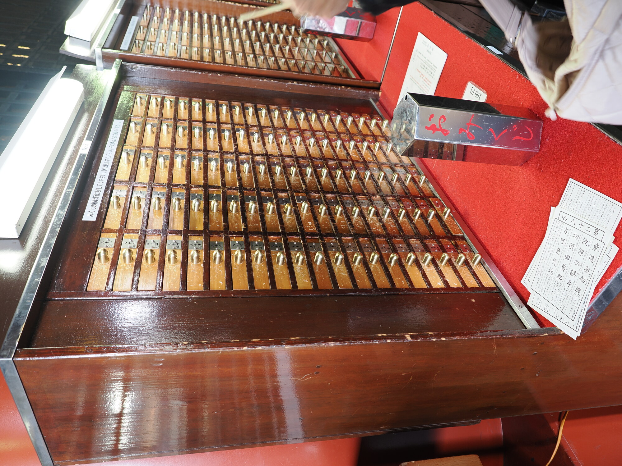 Pagoda Senso-ji za starym drzewem ginko z kamiennym pomnikiem, wczesna wiosna