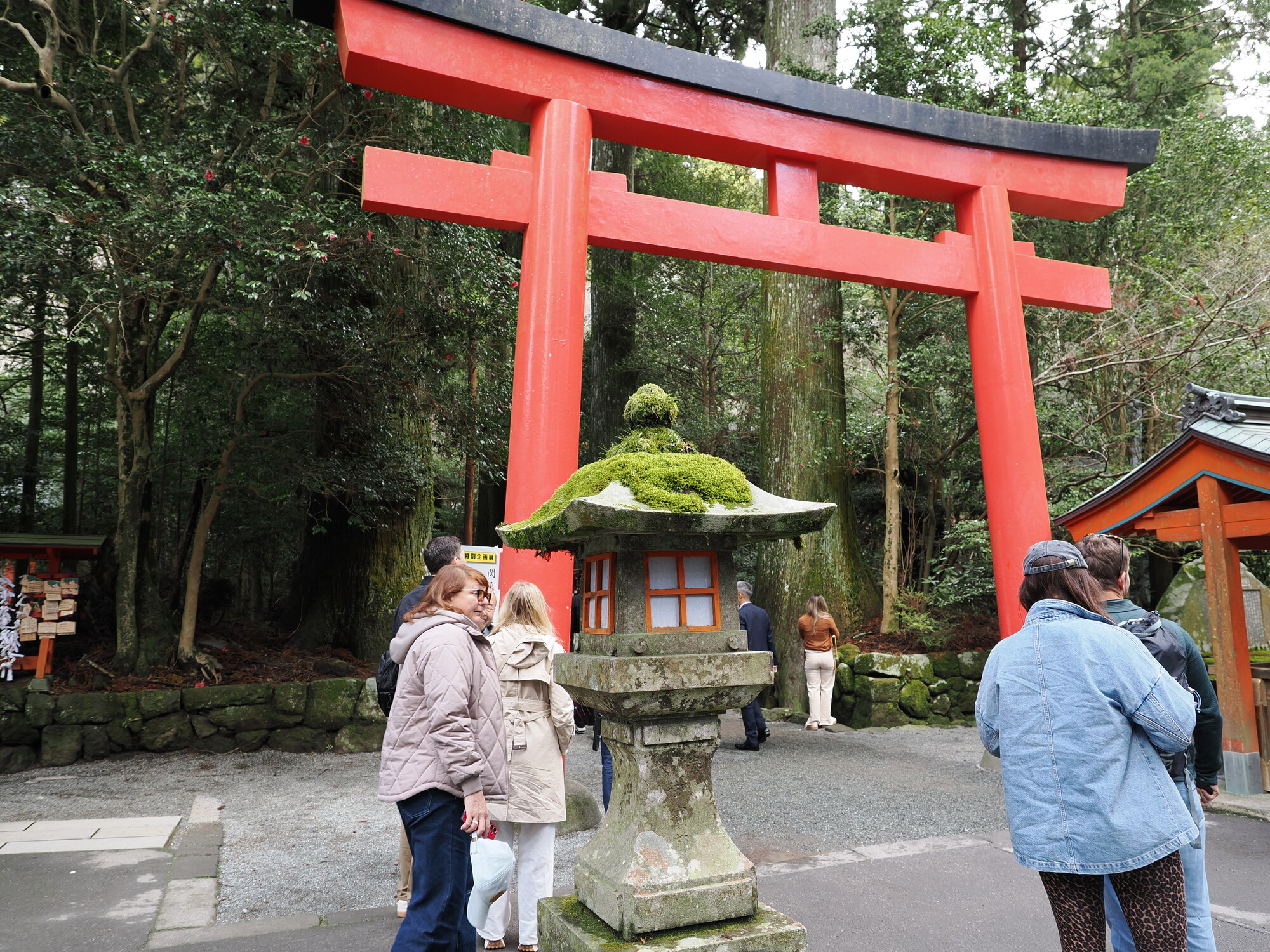 Torii przy wejściu do Hakone Jinja z mchem na kamiennym lampioniku i lasem cedrowym