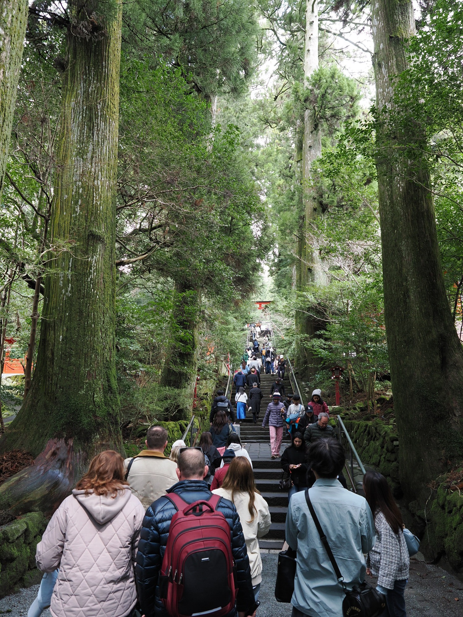 Schody przez las cedrowy prowadzące do Hakone Jinja z torii w tle