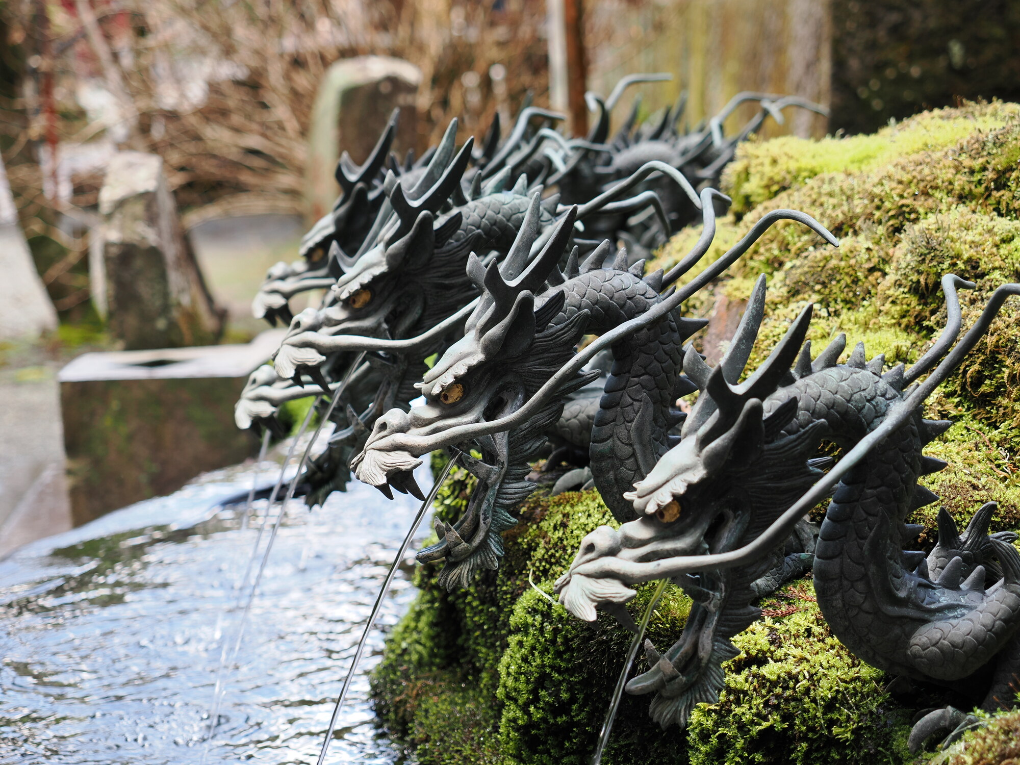 Zbliżenie na głowy smoka z fontanny Kuzuryu — brązowe rzeźby na mchu, woda z pysk