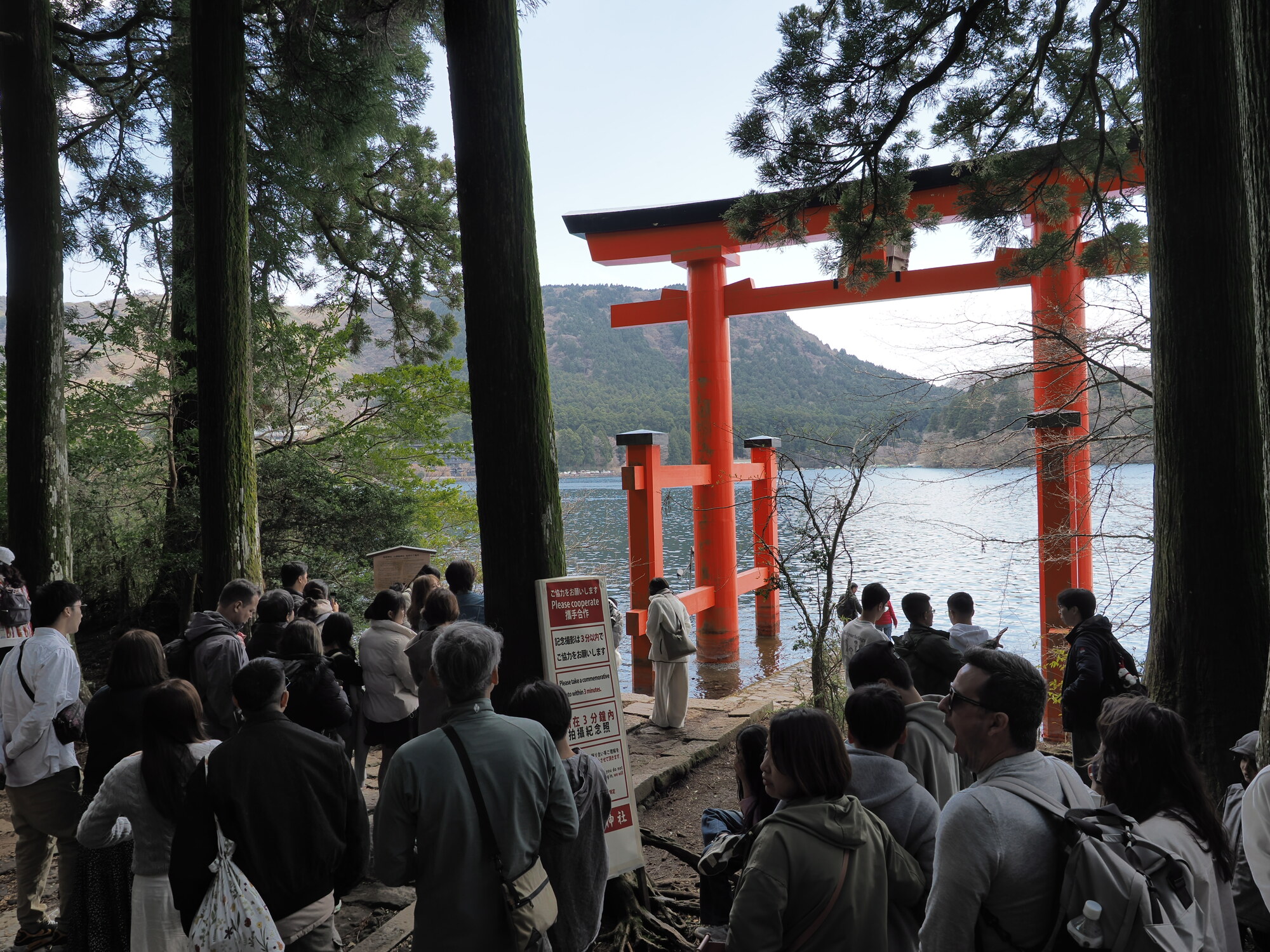 Torii Hakone Jinja stojąca w jeziorze Ashinoko widziana przez las cedrowy, tłum oczekujący na zdjęcie