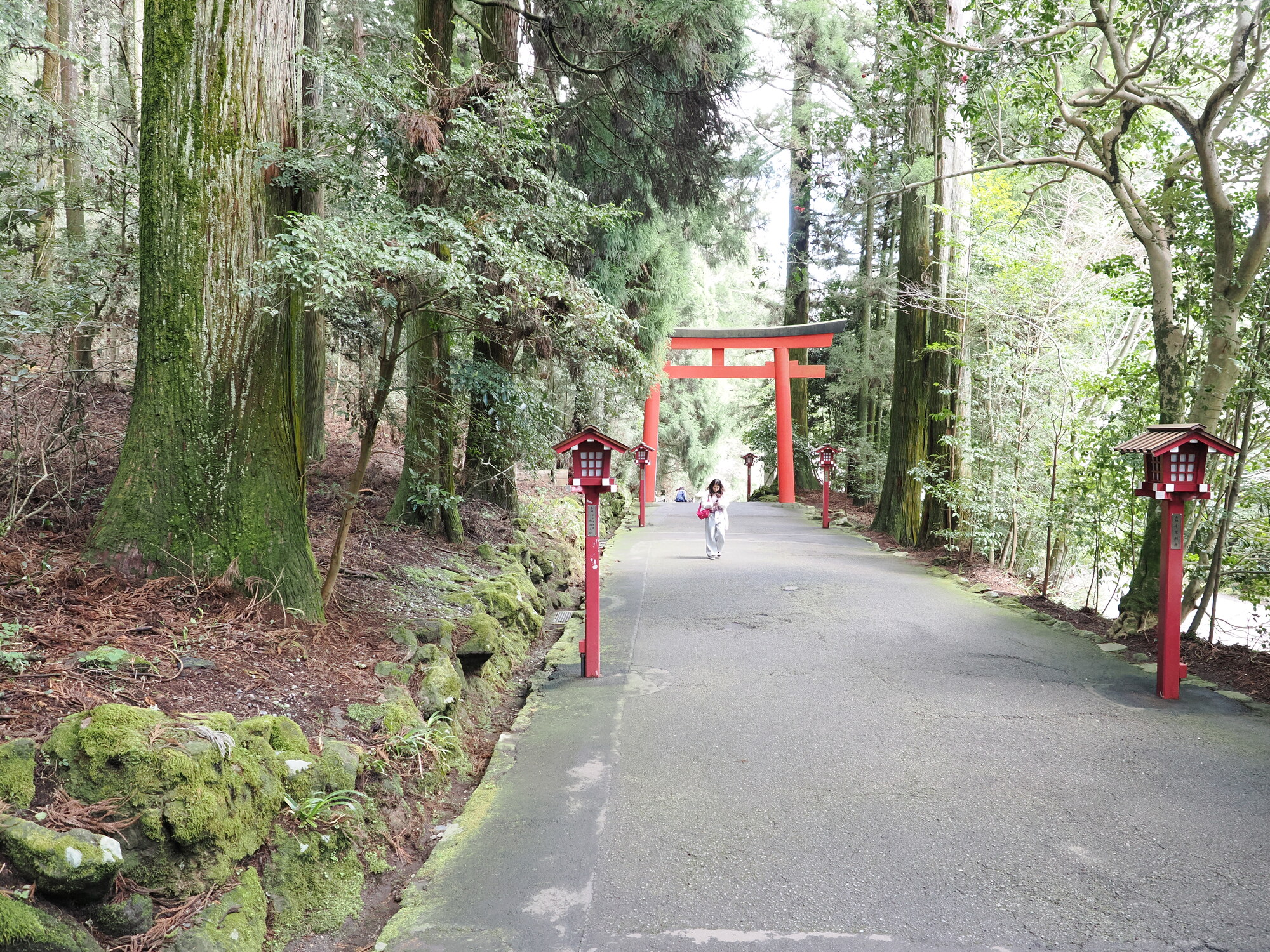 Aleja cedrowa prowadząca do Hakone Jinja z czerwoną torii i latarniami
