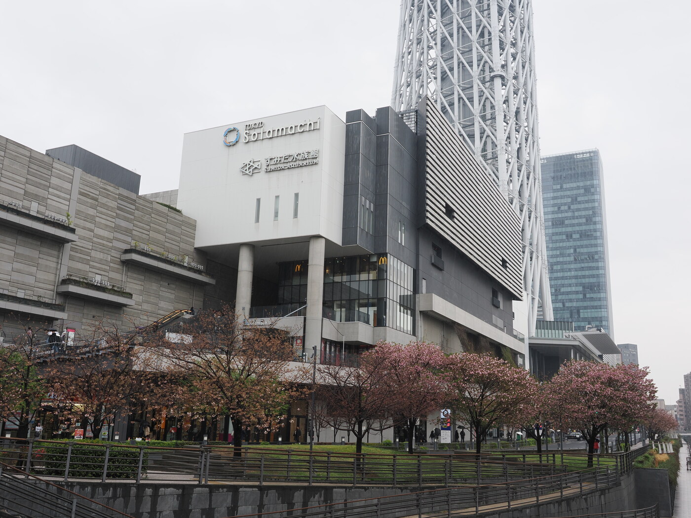 Tokyo Skytree i centrum handlowe Solamachi nad kanałem — kwitnące wiśnie na pierwszym planie, McDonald's i Sumida Aquarium na fasadzie