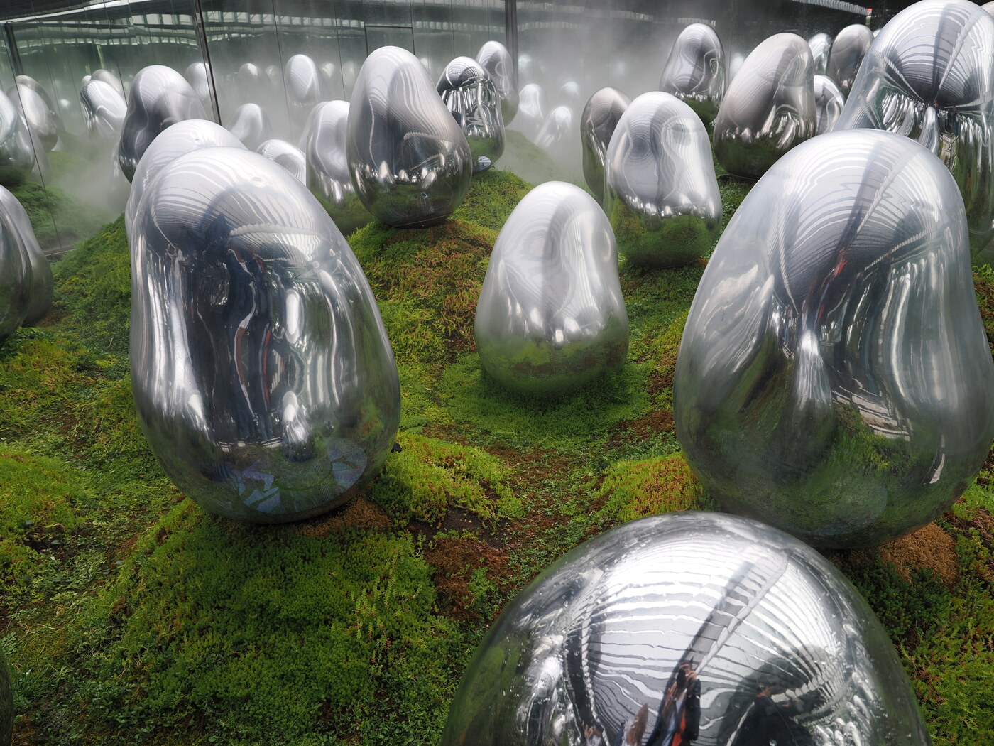 Srebrne jaja na mchu z bliska — lustrzane powierzchnie odbijają zieleń mchu i zwiedzających, mgła unosi się nad trawnikiem