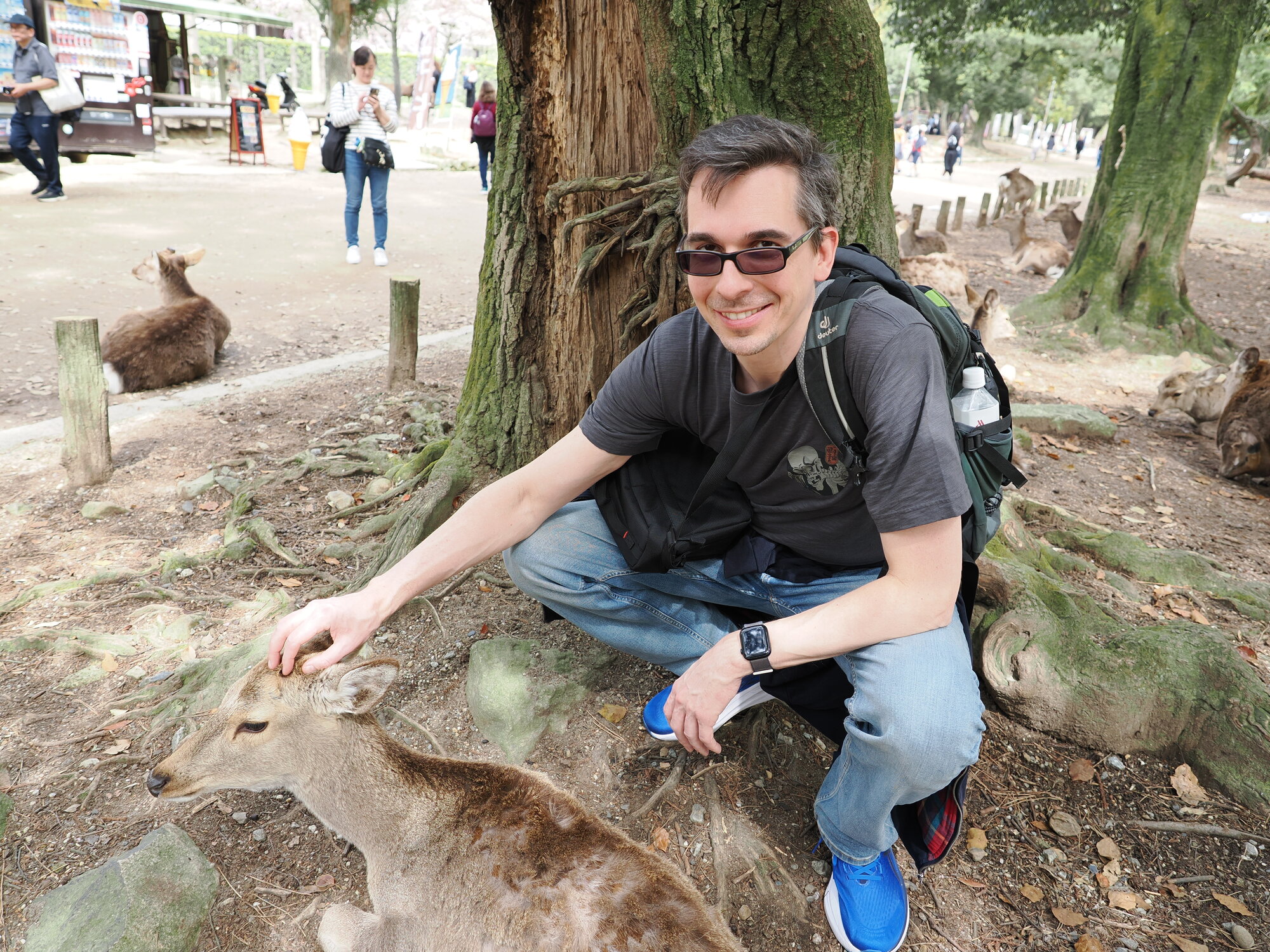 Kamil kuca obok jelenia sika i głaszcze go po głowie w Nara-koen