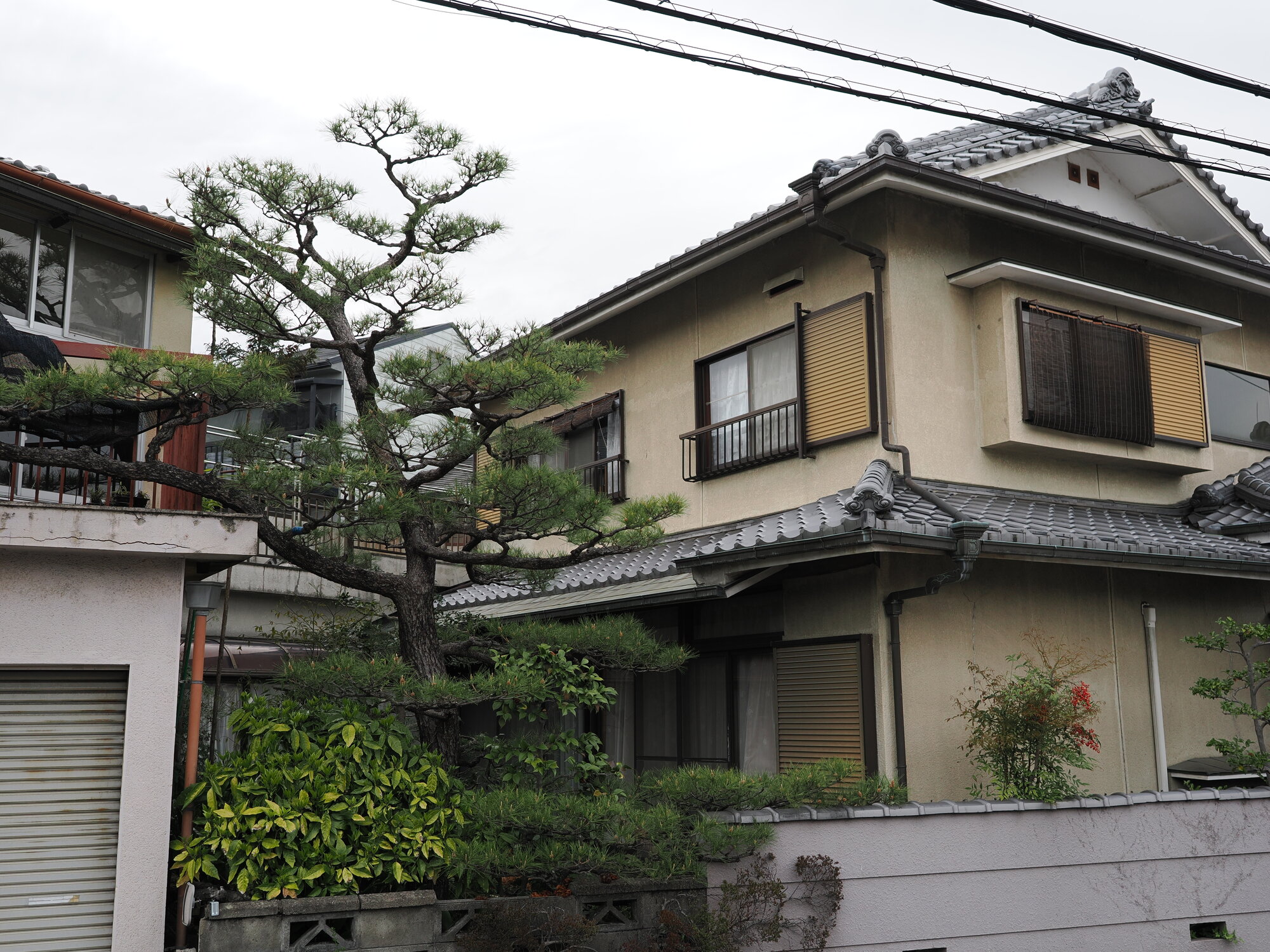 Tradycyjny japoński dom w Uji z sosną niwa i dachem kawara