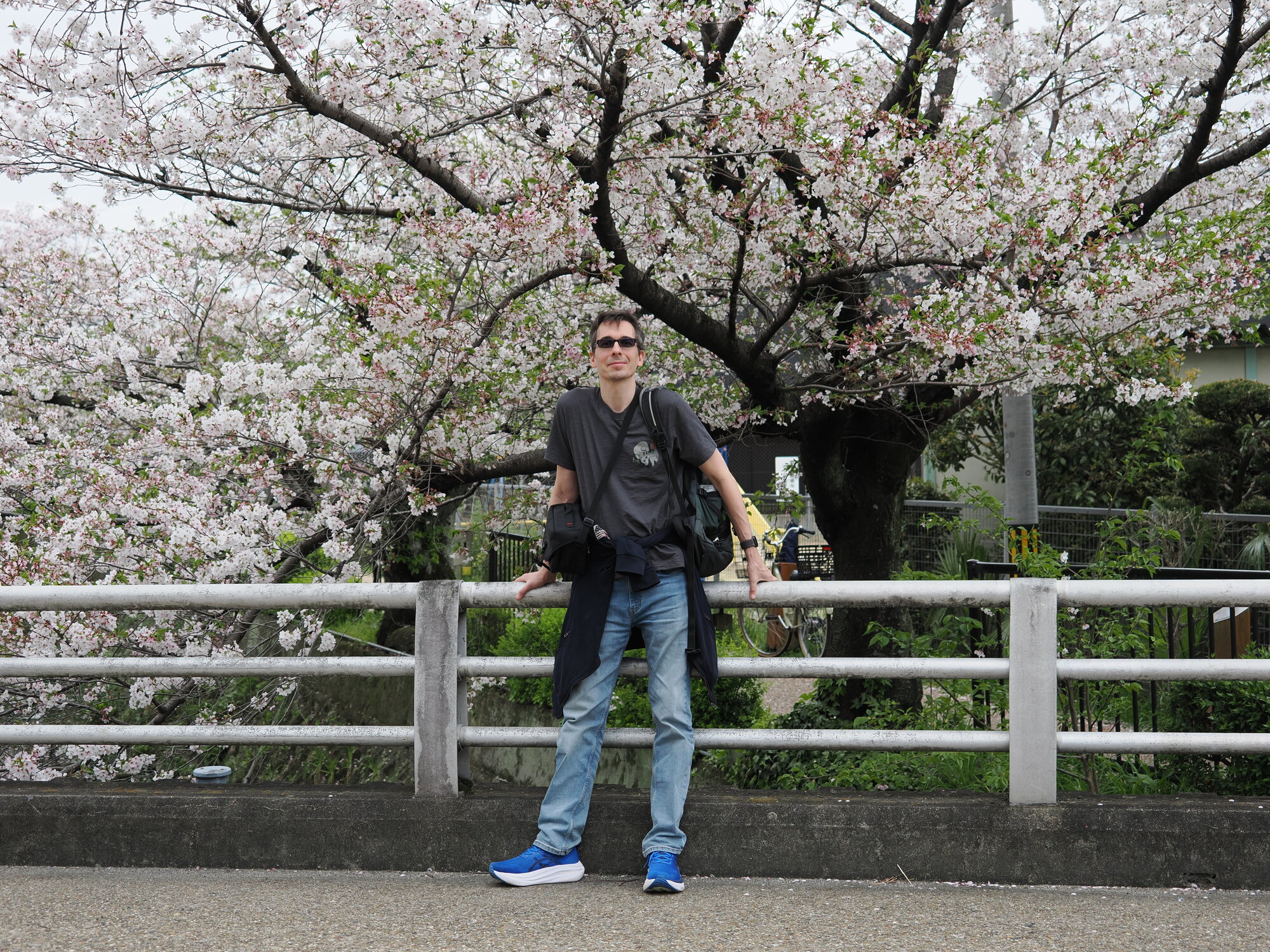 Kamil przy kanale na tle kwitnącej sakury w Uji