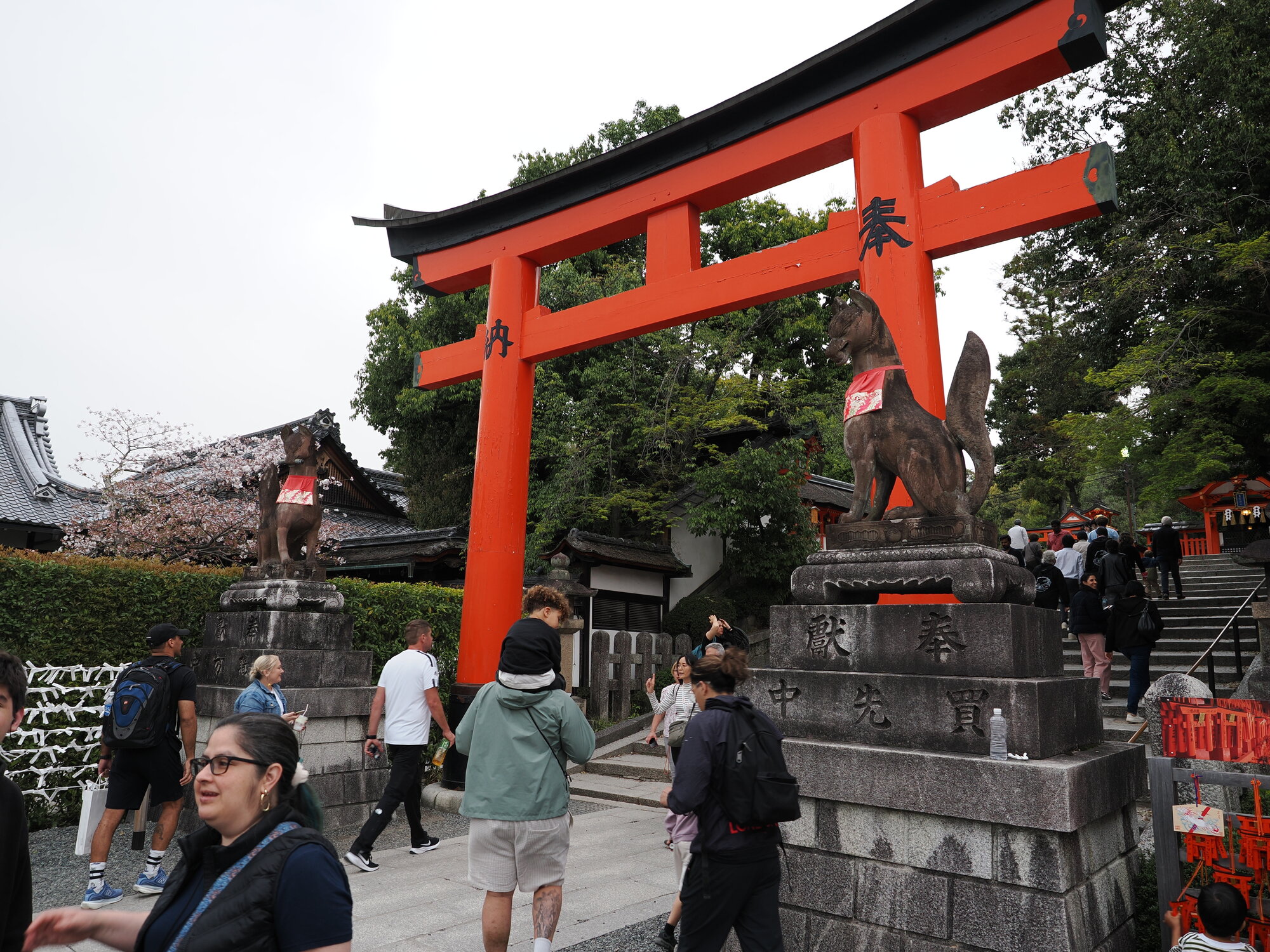 Torii z posągami lisów kitsune na postumentach przy Fushimi Inari