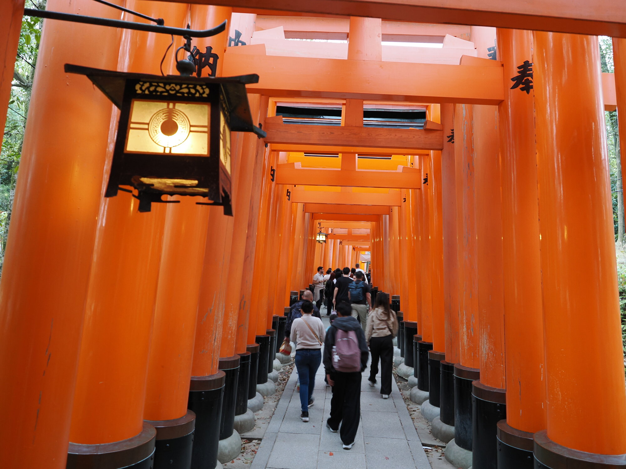 Tunel Senbon Torii — tysiąc pomarańczowych bram w Fushimi Inari