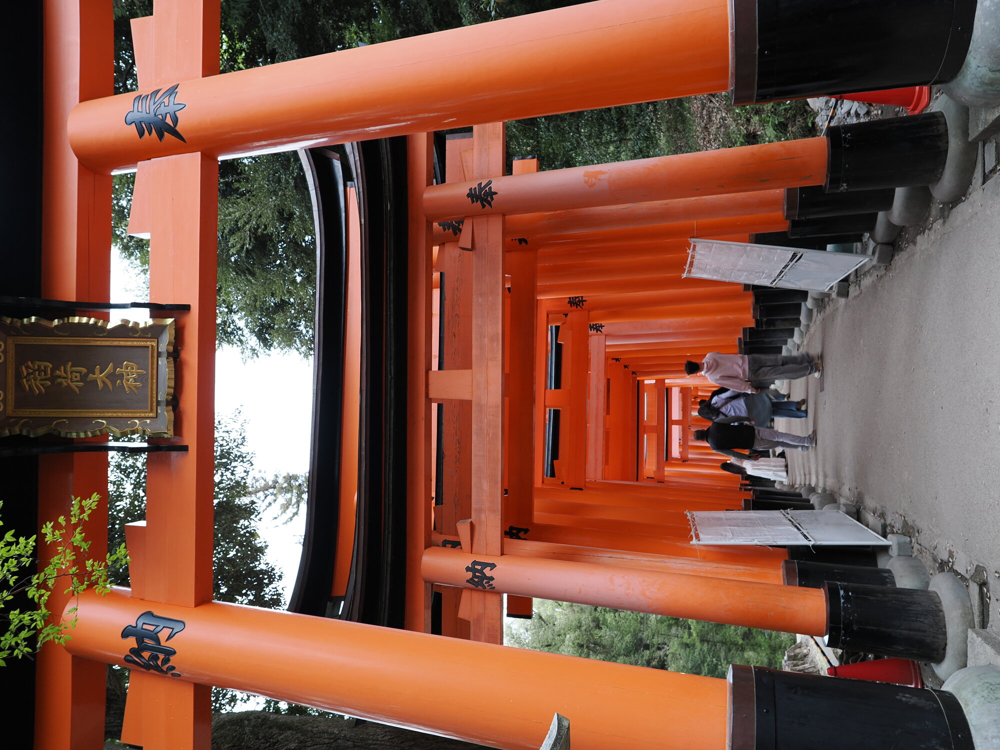 Wejście do tunelu torii z tablicą 稲荷大神 i schodami w górę