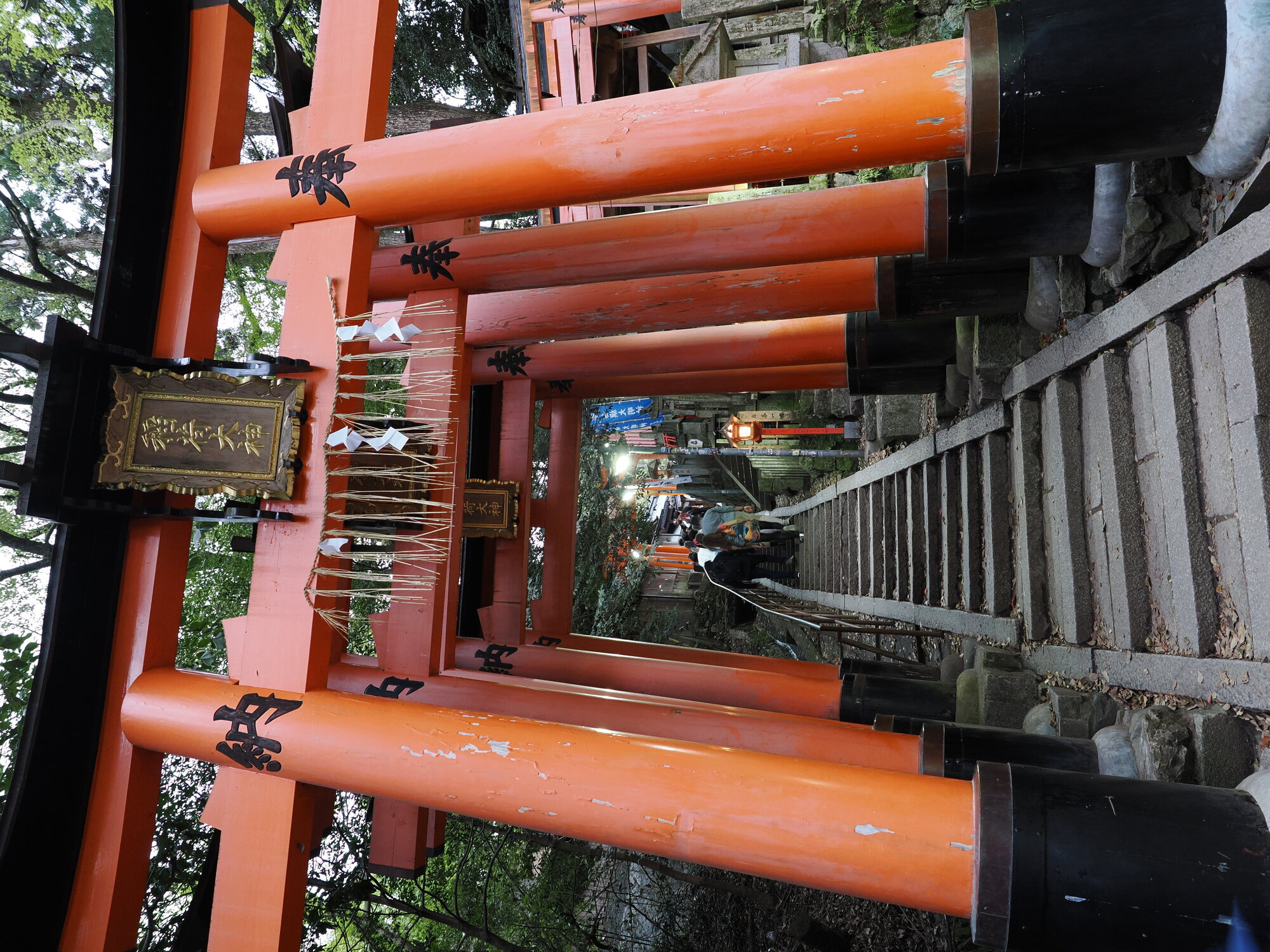 Kamienne schody przez tunel starych torii na wyższym odcinku szlaku
