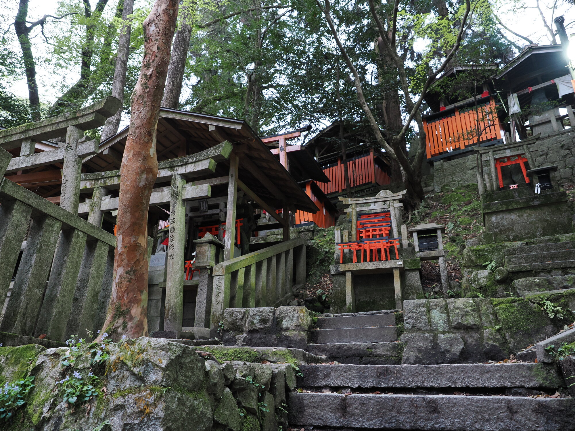 Kamienne schody z omszałymi latarniami przy bocznych kaplicz Fushimi Inari