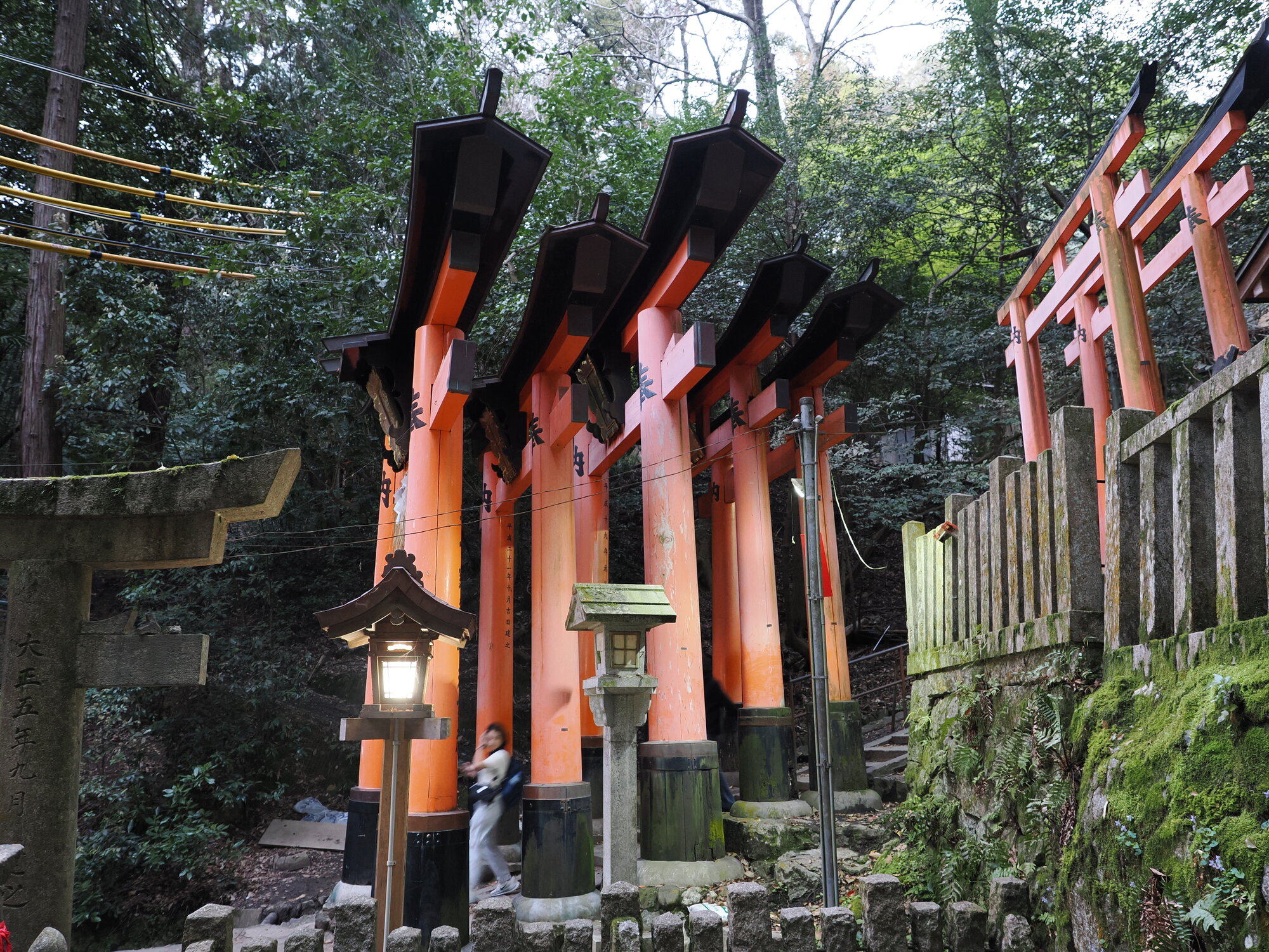 Rząd dużych torii z latarniami na kamiennych schodach w górę