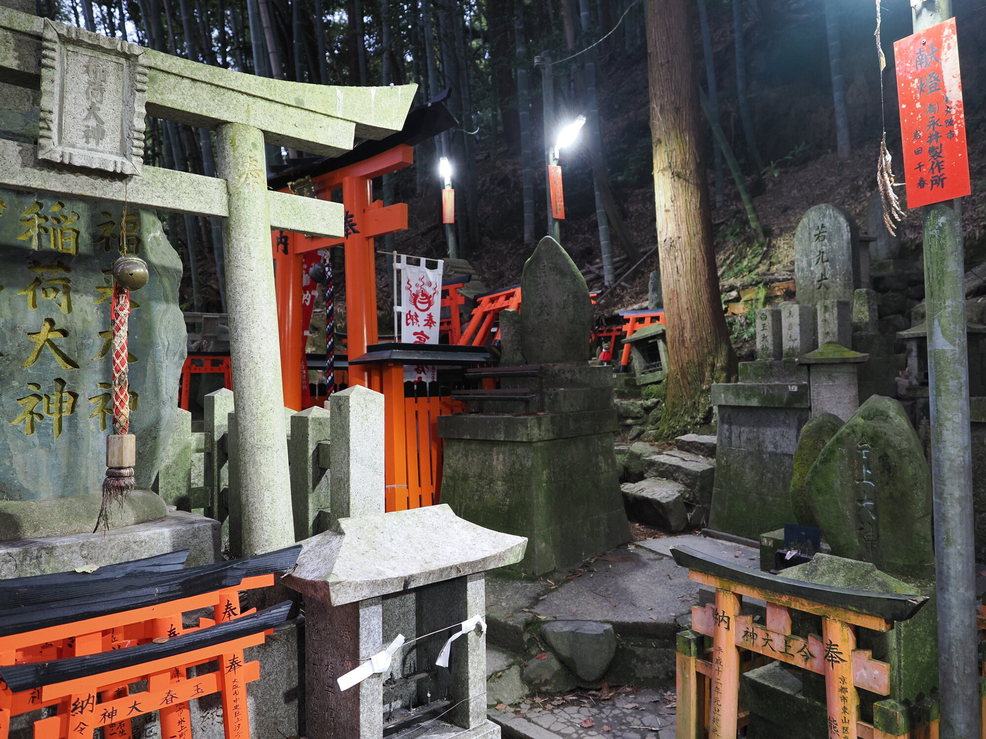 Skupisko stel i miniaturowych torii z napisem 稲荷大神 w bambusowym lesie