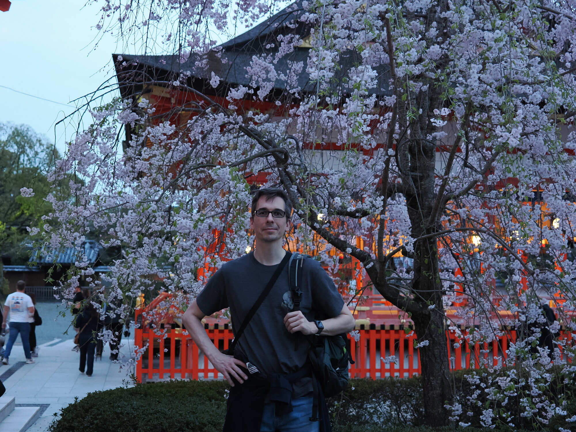 Kamil przy kwitnącej sakurze na tle czerwonego sanktuarium o zmierzchu