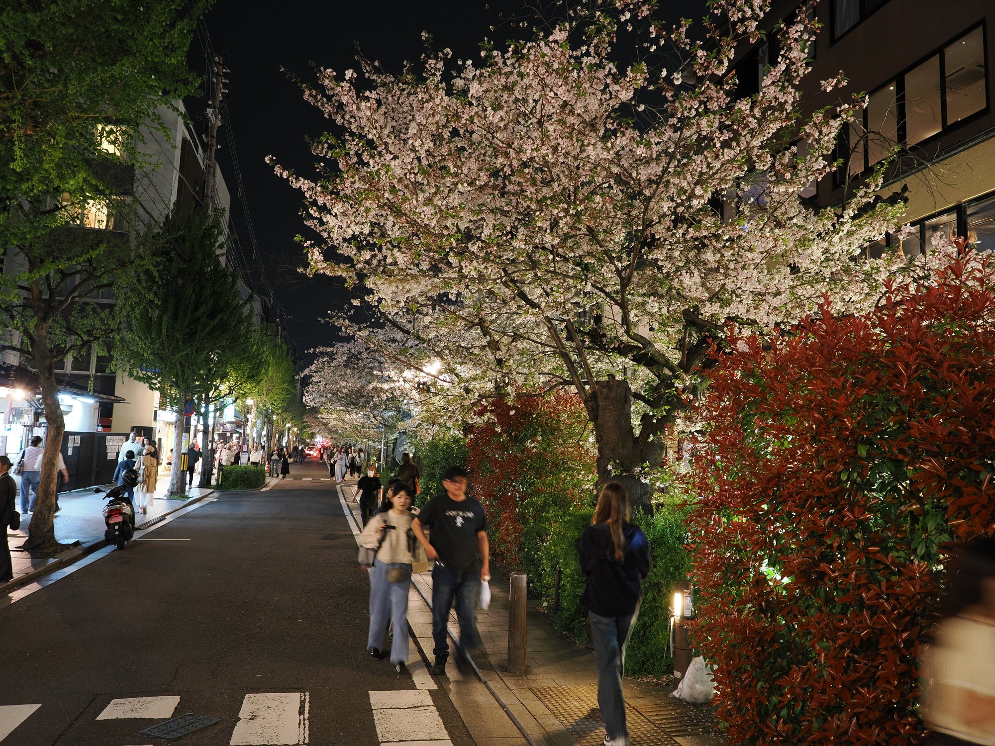 Pełny stół z udon, unagi don, ryżem smażonym i piwem