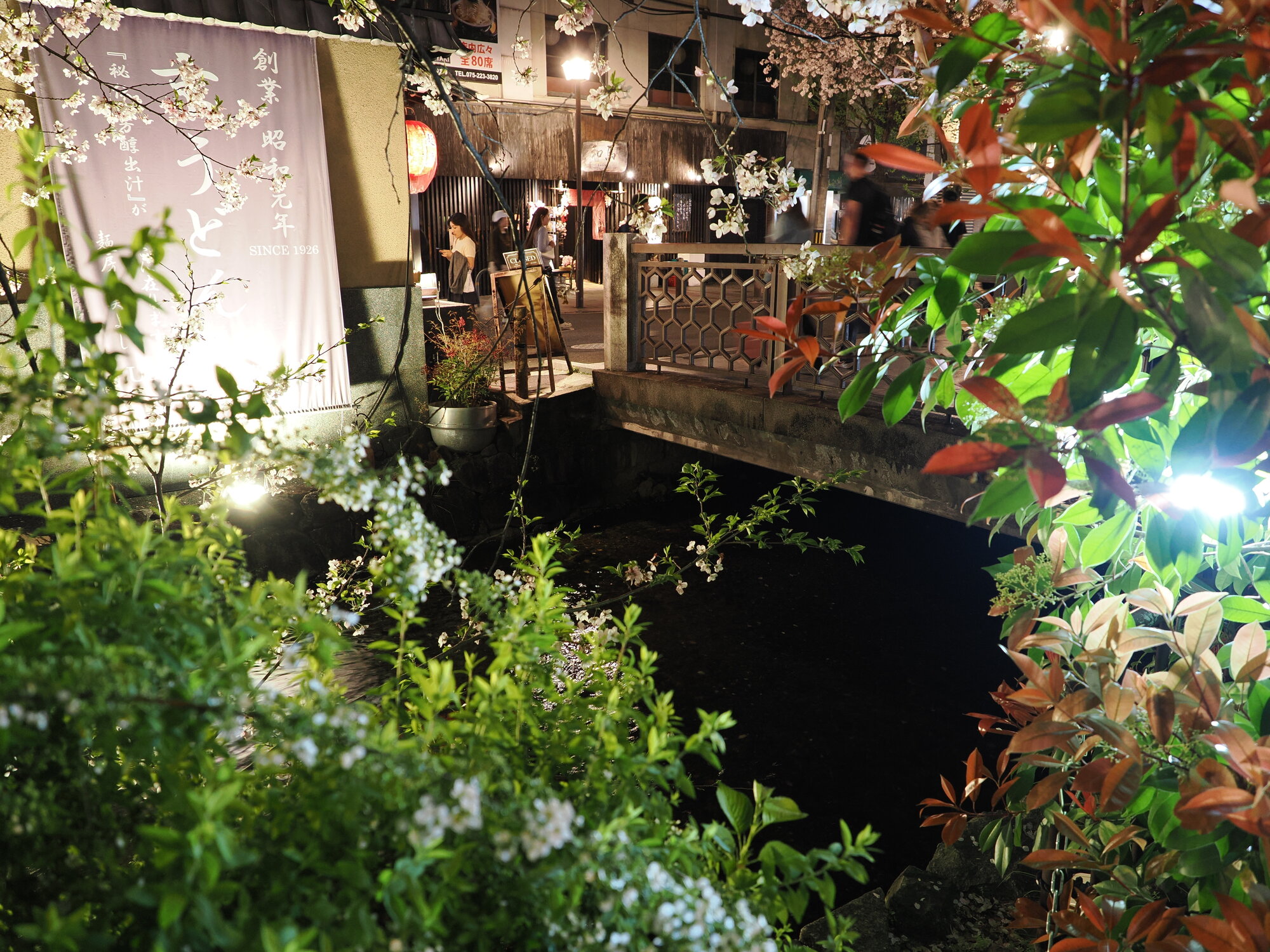 Restauracja nad kanałem Takase z banerem Since 1926 i sakurą