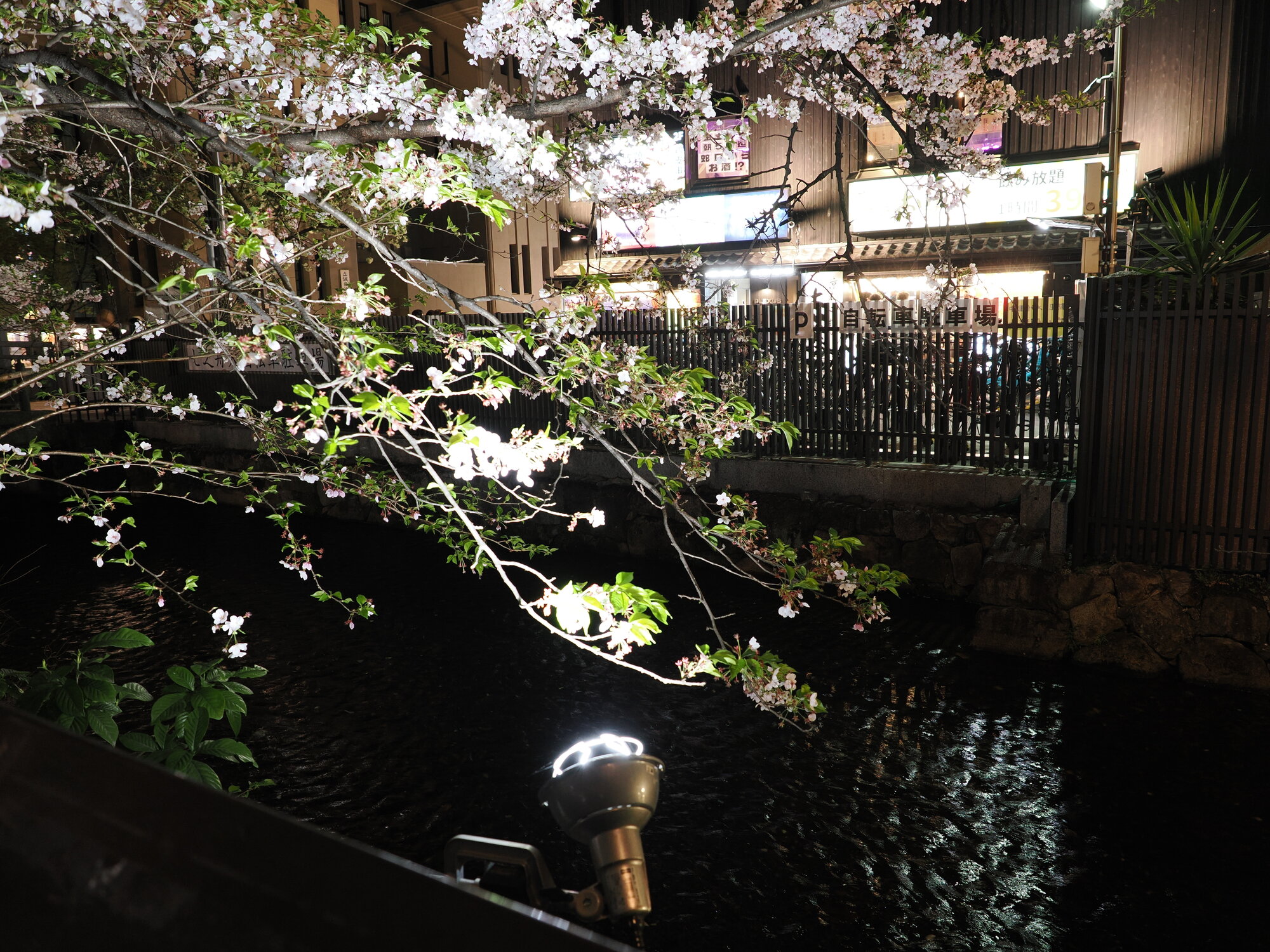 Sakura nad kanałem Takase-gawa nocą z refleksami świateł