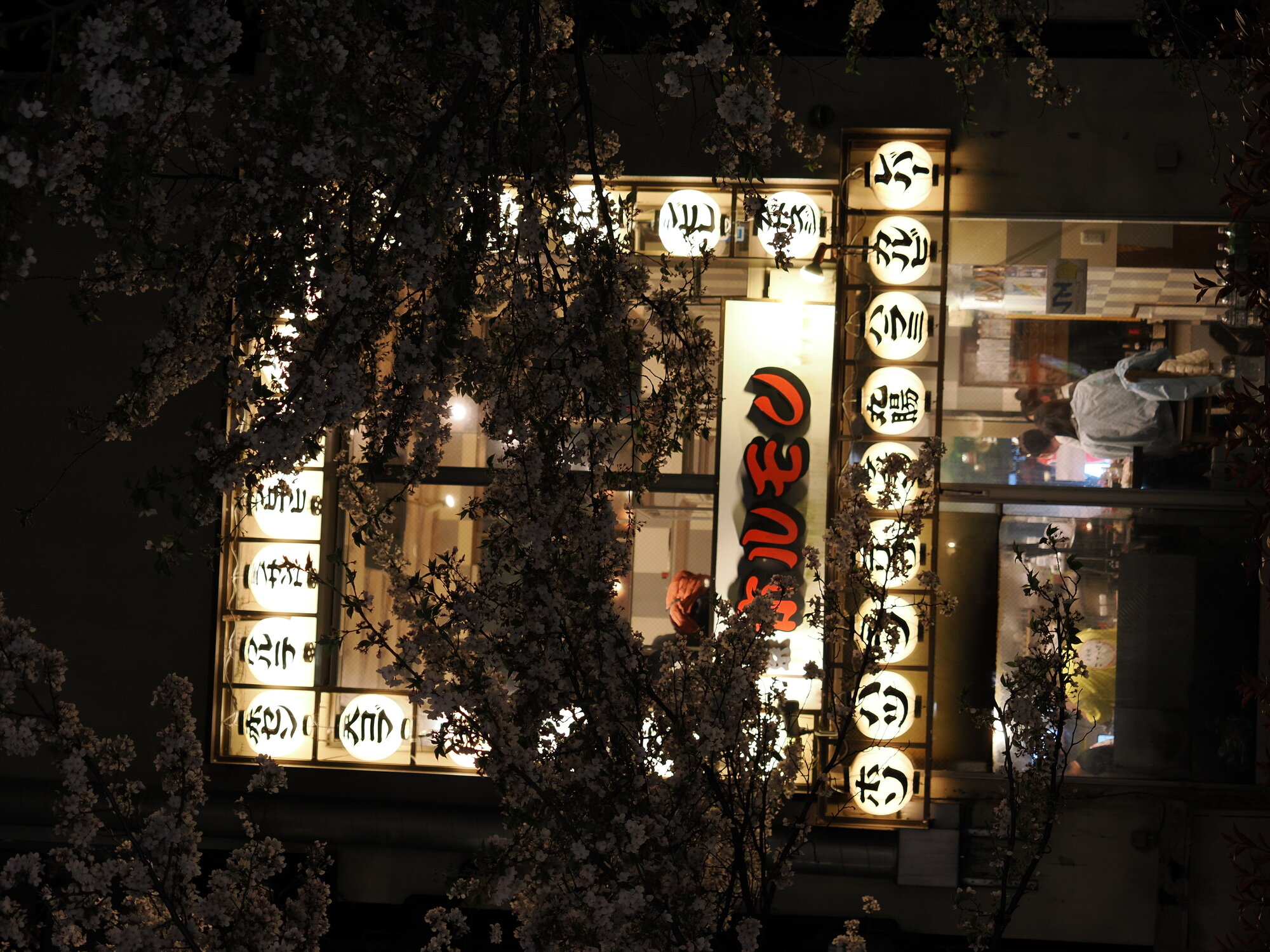 Restauracja horumon sfotografowana przez gałęzie sakury nocą