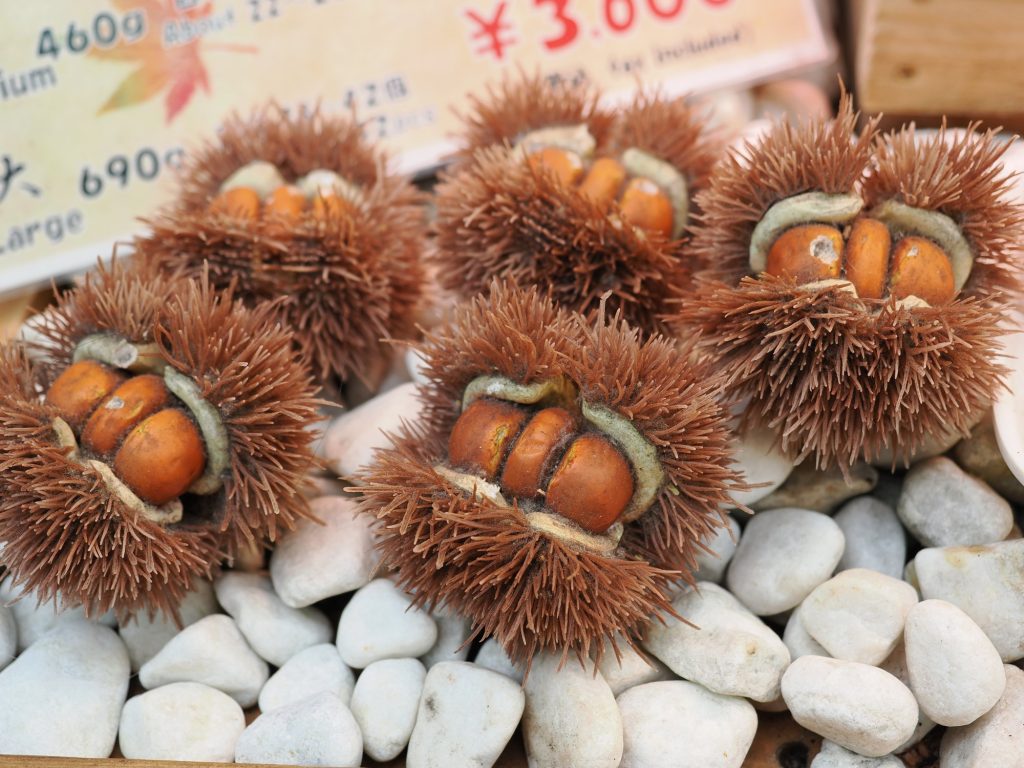 Jeżowce uni w połówkach na lodzie, cena 3000 jenów