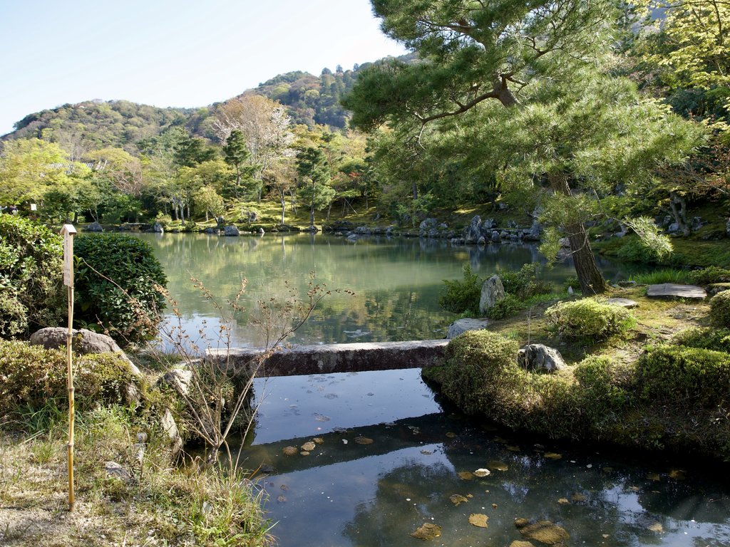Kamienny mostek nad strumieniem z widokiem na staw