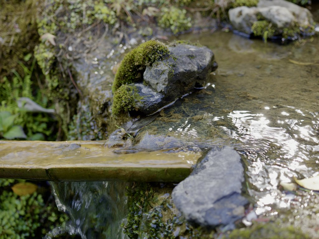 Omszały kamień i bambusowa rynna kakei z wodą