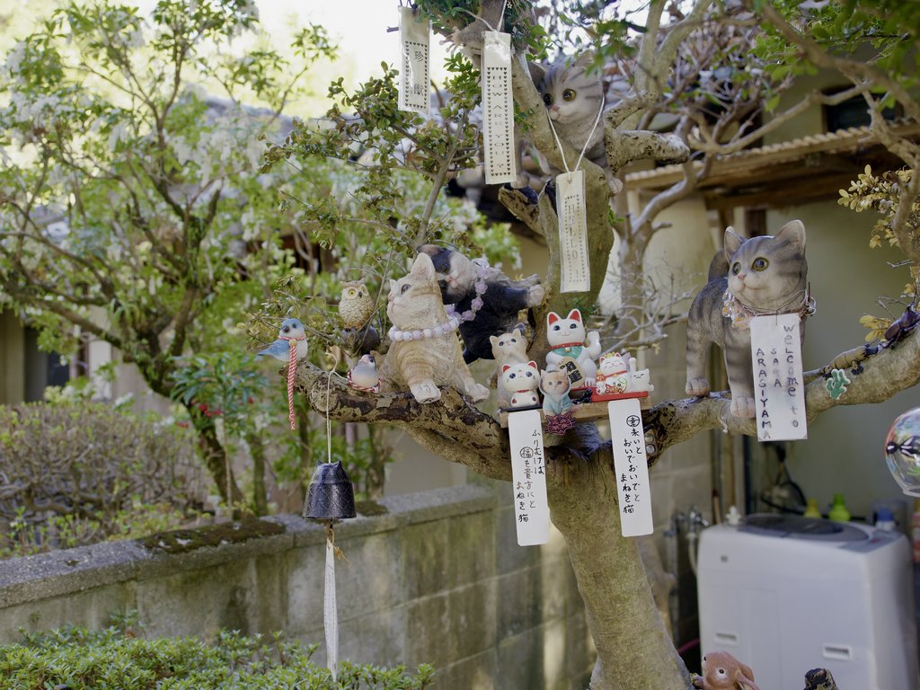 Drzewo ozdobione figurkami kotów i japońskimi tabliczkami