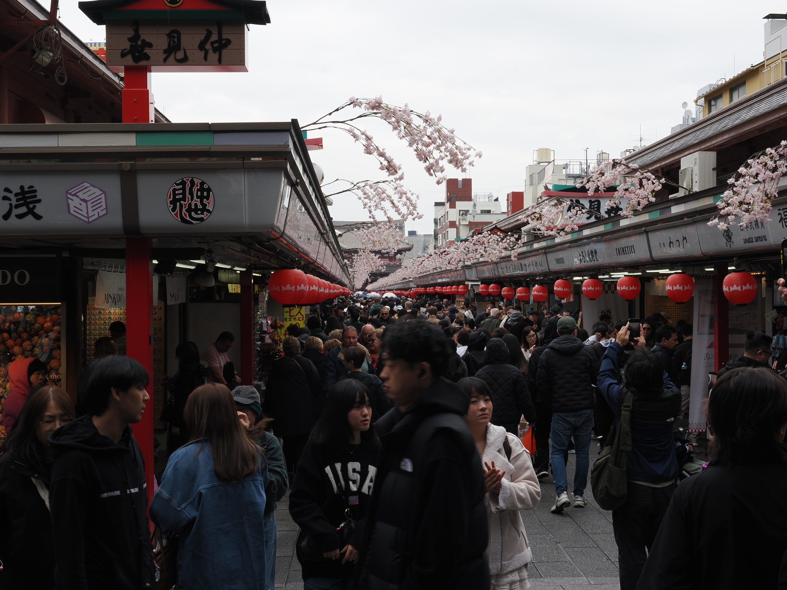 Nakamise-dori – zatłoczona ulica handlowa z dekoracjami sakura nad głowami i czerwonymi latarniami