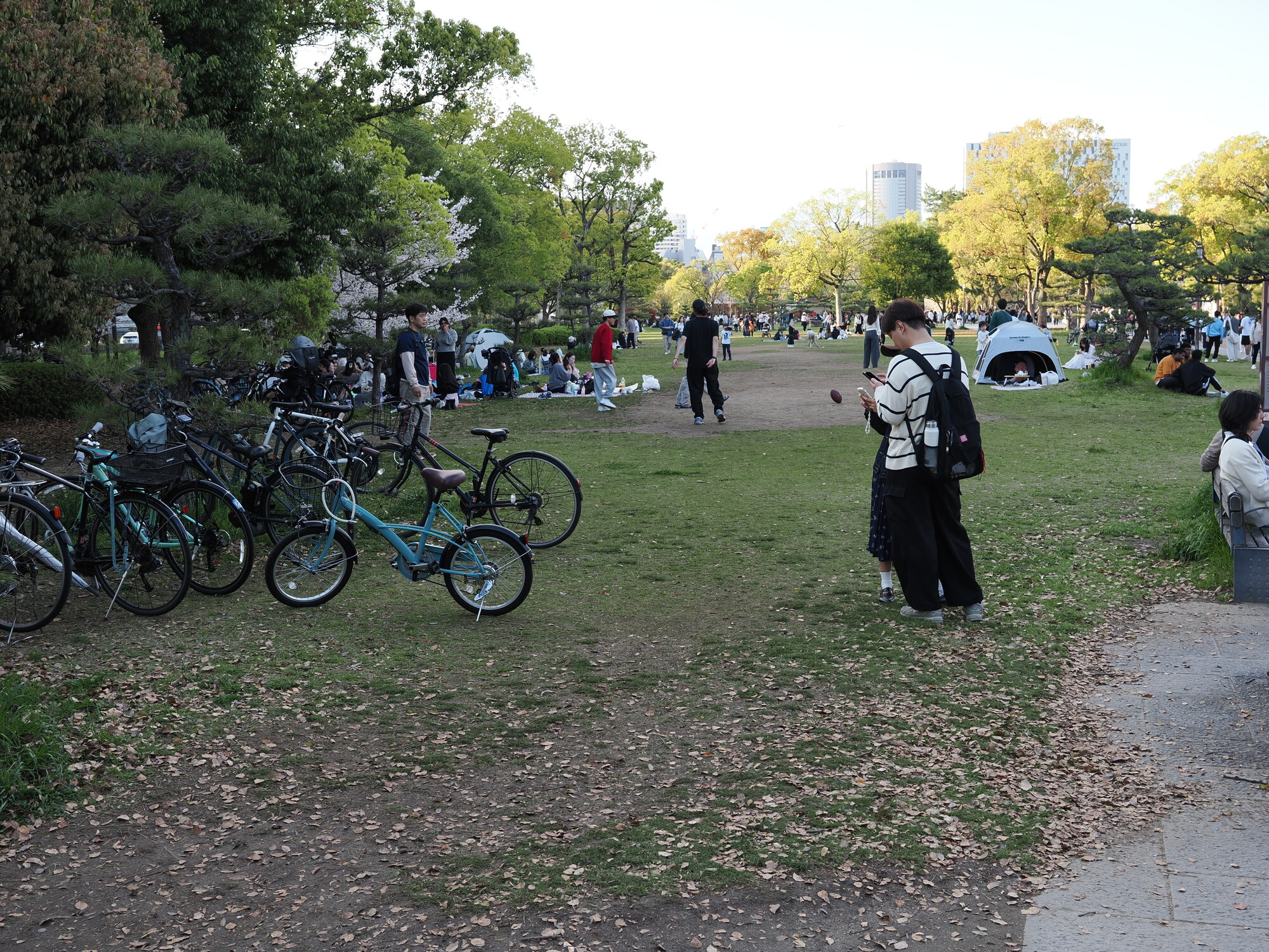 Park przy zamku Osaka — trawnik z rowerami, grupy piknikujących, namioty, drzewa i wieżowce w tle