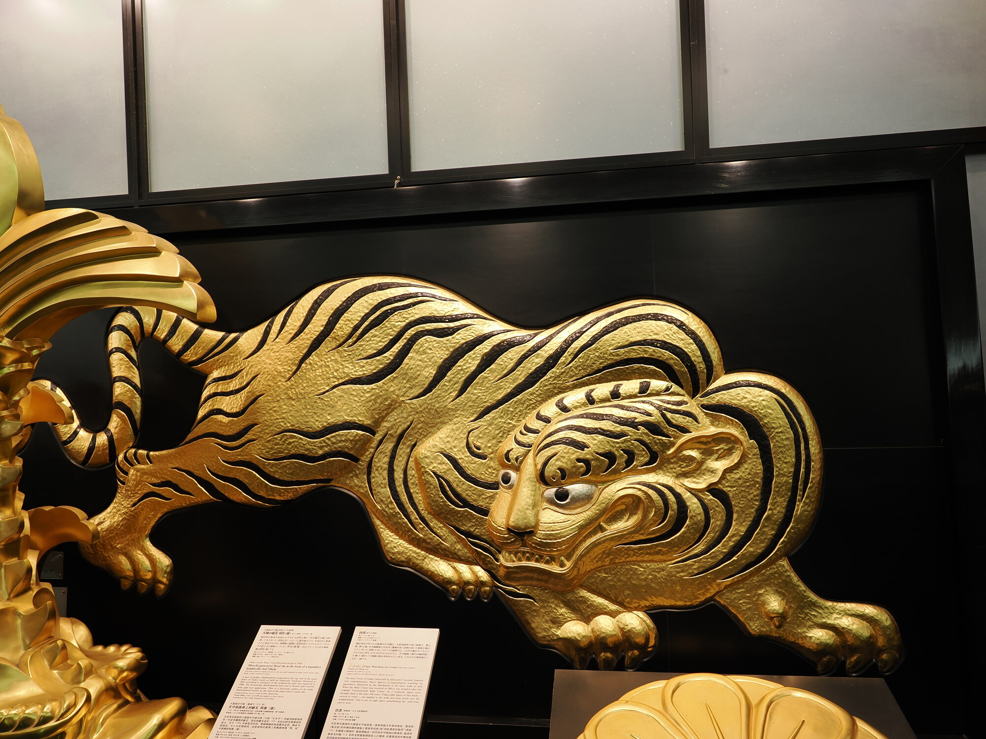 Złota rzeźba lwa-tygrysa i feniks w muzeum zamku Osaka — ozdoby z dachu zamku Toyotomi, widok z góry na łuski i ogon
