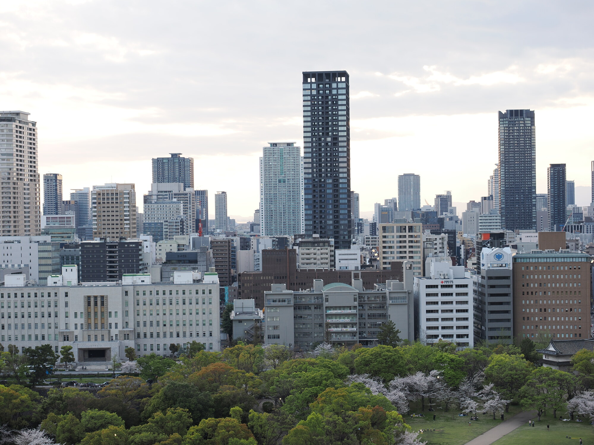 Panorama Osaki z tarasu zamku Osaka — wieżowce centrum od strony zachodniej, park zamkowy z sakurą na pierwszym planie